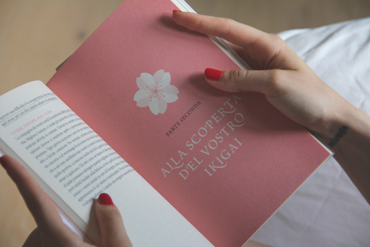 Nessuna ricetta: un pensiero sul mio ikigai