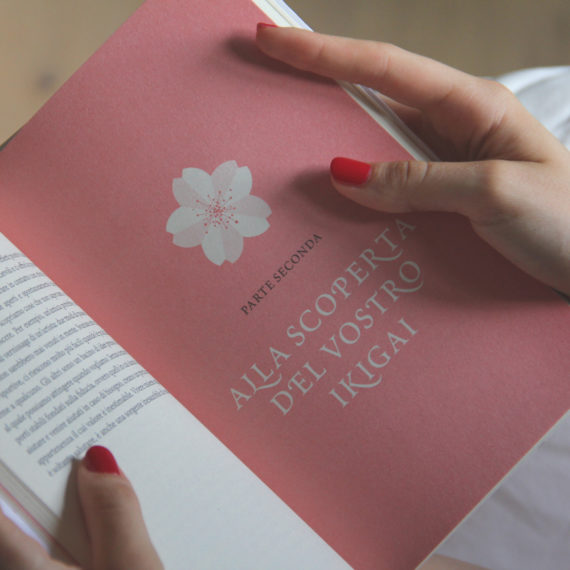Nessuna ricetta: un pensiero sul mio ikigai