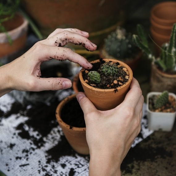 Il giardino interiore