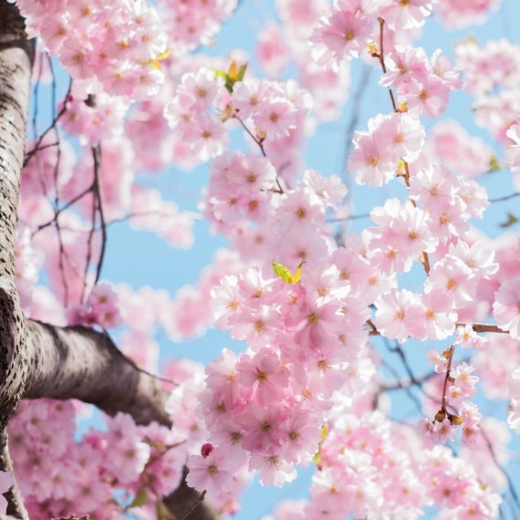 Un po’ di self compassion